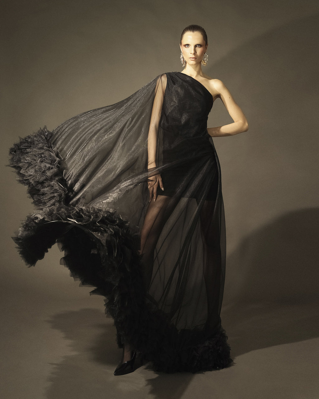 Black Swan Dress